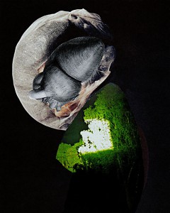 Herzleben  20,2 x 24,6 cm, Collage 2012