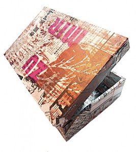 Mein  23,5 x 16 x 9 cm, Holzbox, Capaplex Siebdruck, Collage 2012