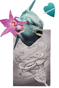 Fisch  19,9 x 29,6 cm, Collage 2010
